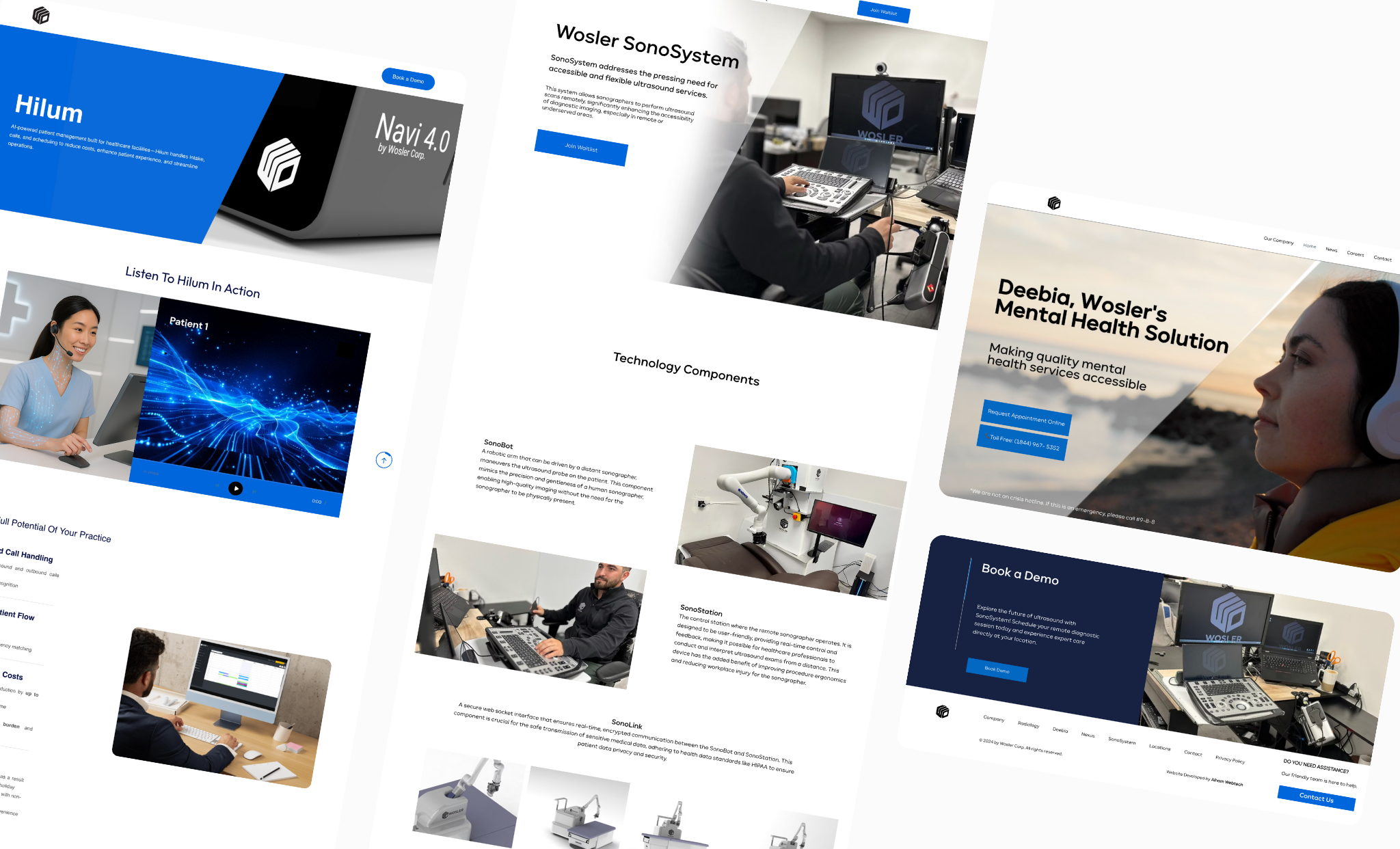 Wosler Healthcare Portfolio showcasing Hilum, SonoSystem, Deebia Mental Health Solution, and various technology components across the multi-site network